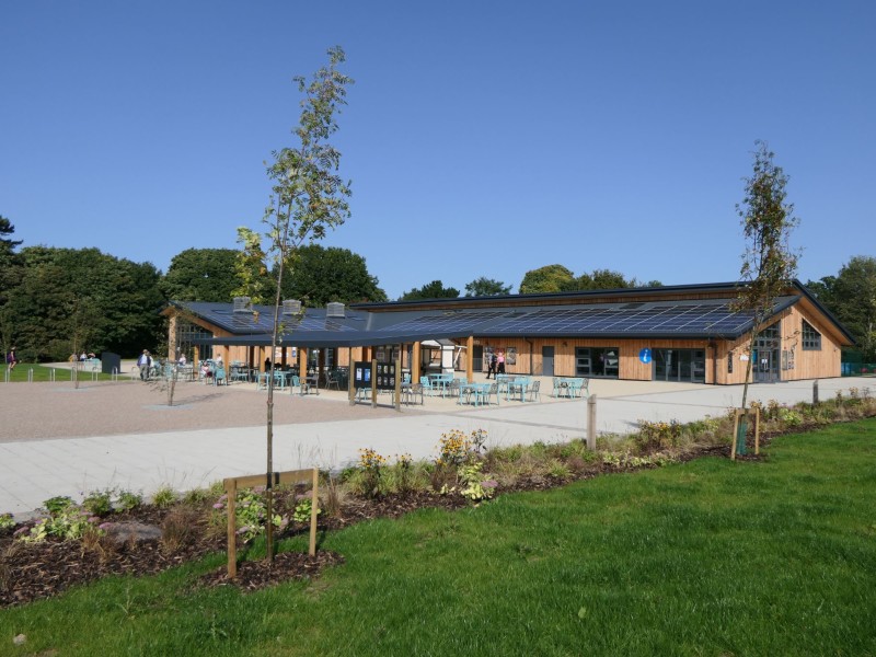 Delamere Forest