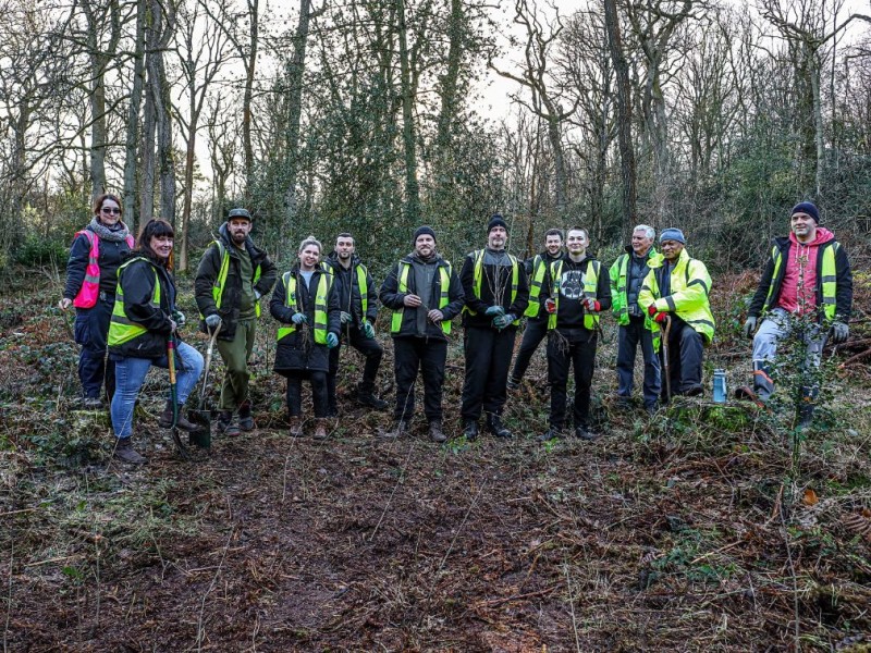 Willmott Dixon Interiors plant 2,600 trees