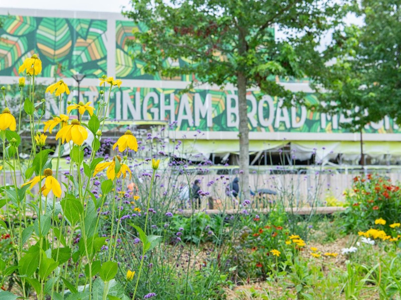 Delivering biodiversity net gain at Nottingham’s Broad Marsh  