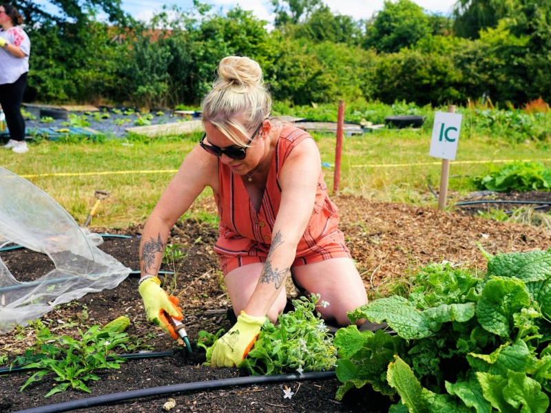 Social value - helping people thrive